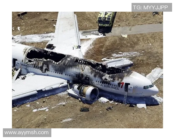 足球明星私人飞机坠毁事故引发全球关注伤亡人数及原因仍在调查中