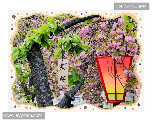 太阳神与大阪樱花的巅峰对决谁将赢得这场足球盛宴的荣耀与胜利