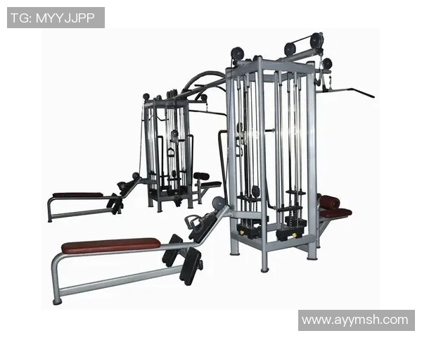 优质体育健身器材厂家推荐助力健康生活与运动梦想实现